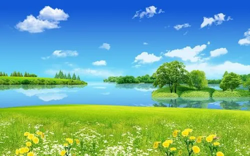 全自动节能高端